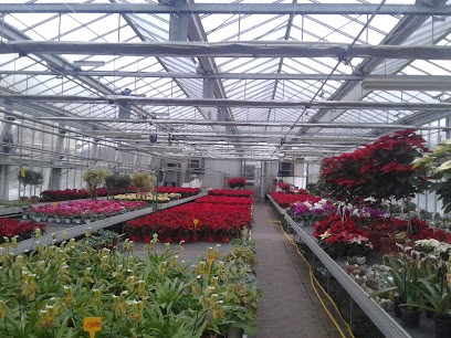 Silvestrin Luciano Giovanni, Fiorista a Pedavena