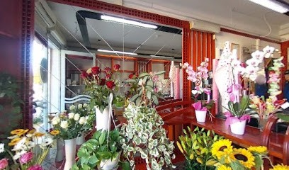 Fiori E Piante Irma Di Irma Moriconi, Fiorista a Seravezza