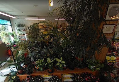 Fioreria Pattaro, Fiorista a Trebaseleghe