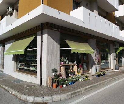 Di Fiore In Fiore - Fioraio, Fiorista a Majano