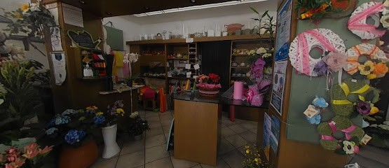 Ikebana Piante e Fiori, Fiorista a Andora