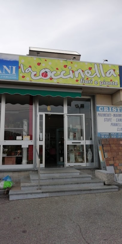 La Coccinella, Fiorista a Pisano