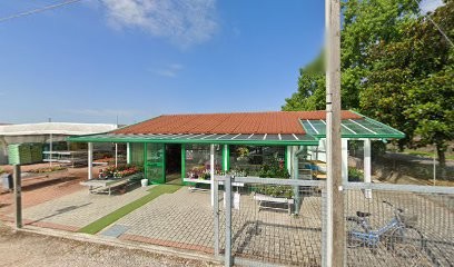 Fioreria Elena Di Pivetta Elena, Fiorista a Stanghella