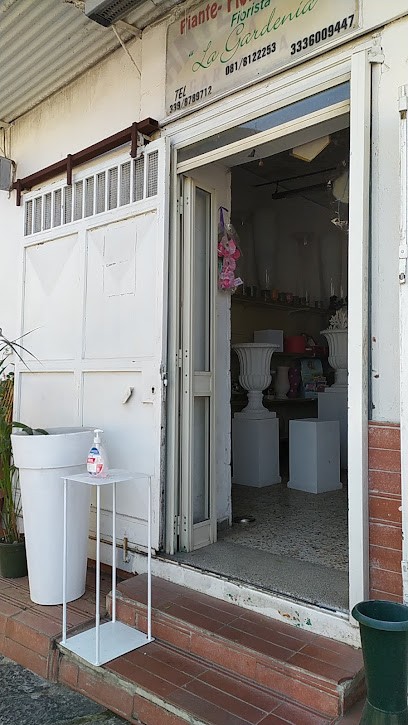 La Gardenia Di Mercurio Luisa, Fiorista a Frignano