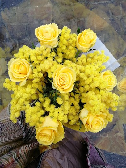 Fiori E Piante Gilardini Di De Luca Tiziana Gabriella, Fiorista a Roseto degli Abruzzi