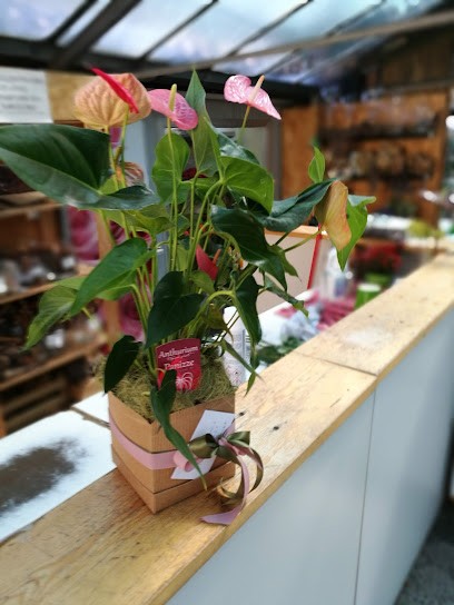 Le Corti Giardinerie, Fiorista a Verona