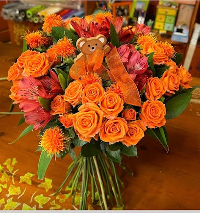 Fiori E Piante Susanna Di Francione Susanna, Fiorista a Grignasco