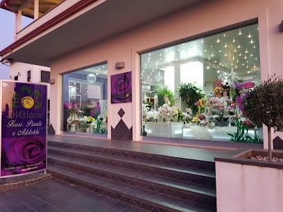 Di Giorno Piante e Fiori, Fiorista a Marcellina