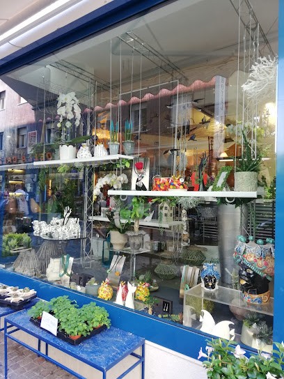 Fioreria Fioridivini By Damiani, Fiorista a Grado