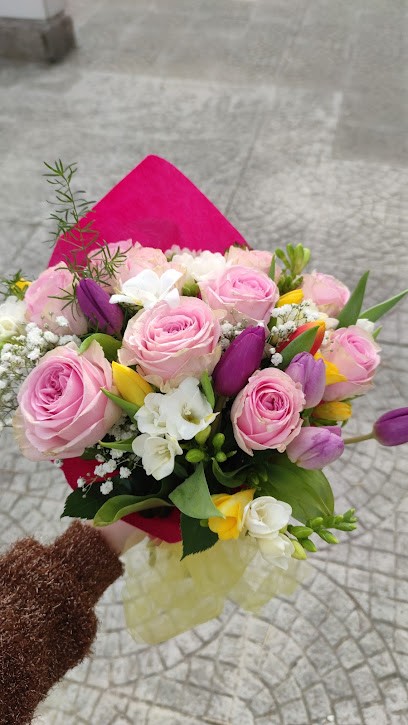 Fiori E Piante Di Barbara Cesaraccio, Fiorista a Sassari