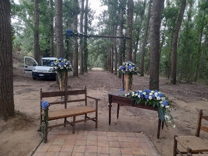 Fioreria Fantasie Floreali Neri E Cosenza, Fiorista a Piazza Armerina