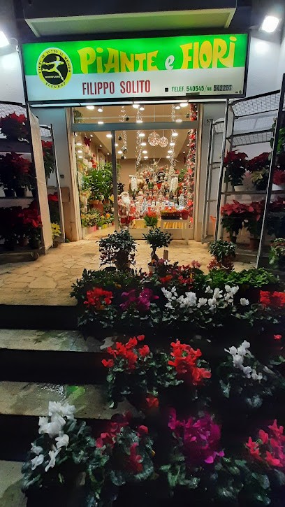 Solito Filippo, Fiorista a Palermo