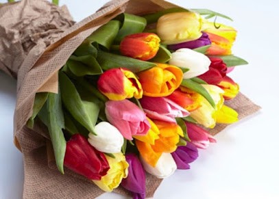 Grava Armando, Fiorista a Susegana