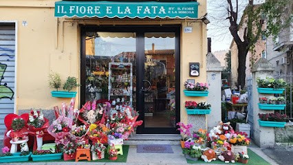 Il Fiore E La Fata, Fiorista a Bologna