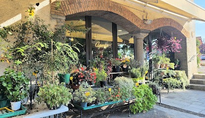 Fiorista Di Rosa In Rosa di Rezoagli Rosa, Fiorista a Biandronno