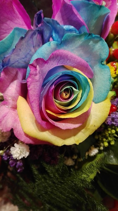 Antica Bottega Dei Fiori Di Capigatti Alessandra, Fiorista a Firenze