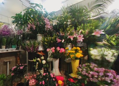 Bruna E Luciano Fiori, Fiorista a Roma