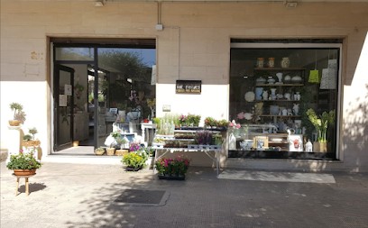 Fioraio The Flower-Fiori e Piante, Articoli da Regalo, Fiorista a Francavilla Fontana