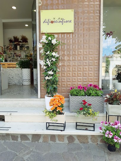 Difioreinfiore Di Galli Elena, Fiorista a Gragnano Trebbiense