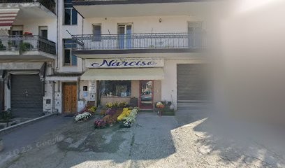 Narciso, Fiorista a Francavilla in Sinni