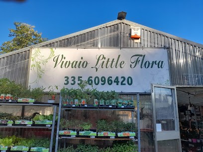 Vivaio Little Flora, Fiorista a San Pietro in Casale