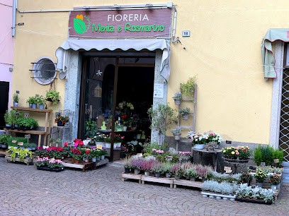 Menta E Rosmarino, Fiorista a Saronno