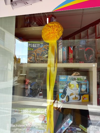 La Boutique Del Fiore Giovanni Liscia, Fiorista a Guspini