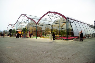 Marino Flowers Garden Center Ltd., Fiorista a Rivoli