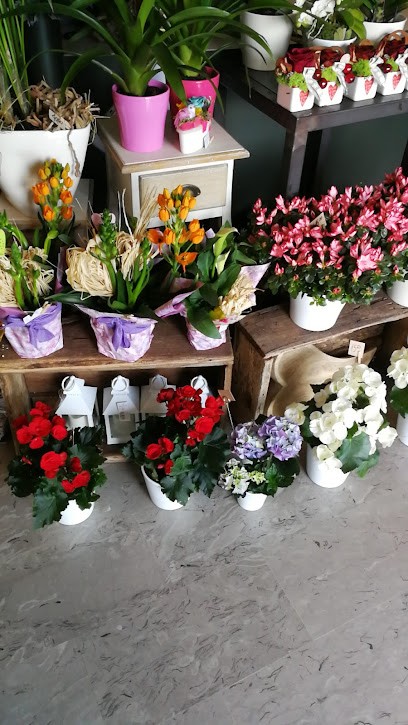 Fioreria Cristallo, Fiorista a Spilimbergo