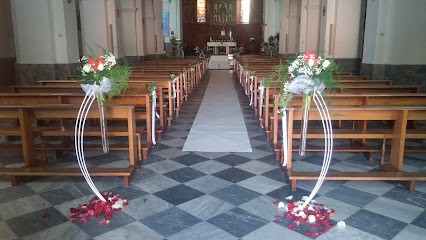 Emiflor Fiori e Piante, Fiorista a Buddusò