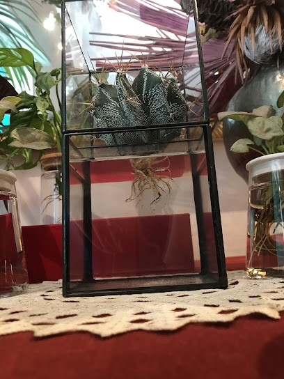 Rami di Molinelli ileana, Fiorista a Bologna