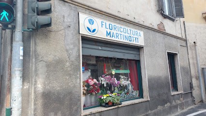 MARTINOTTI FIORI, Fiorista a Moncalieri