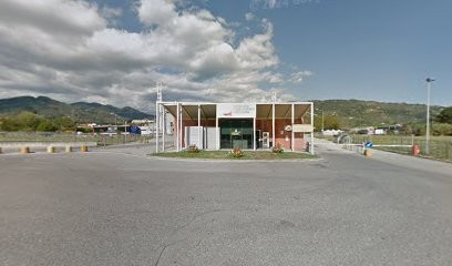 Euroflora Srl, Fiorista a Pescia