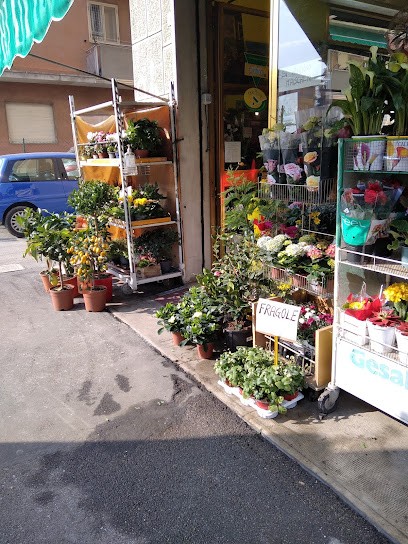 I Fiori Di Rosmary, Fiorista a Bologna