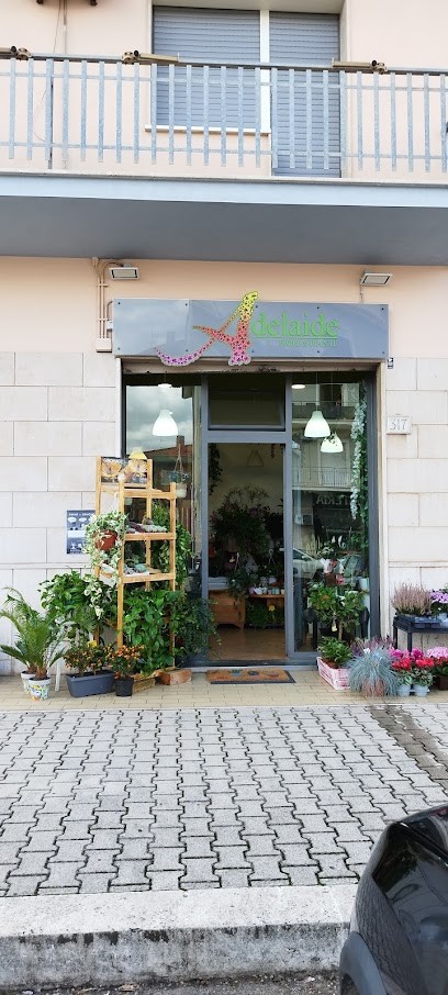 Adelaide Fiori E Piante, Fiorista a Castelverde