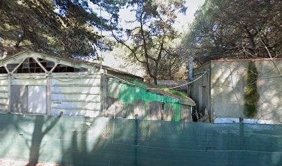 Di Fiore in Fiore, Fiorista a Rosignano Marittimo