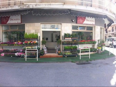 L'orchidea, Fiorista a Reggio di Calabria