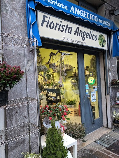 Fiorista Angelico, Fiorista a Pavia