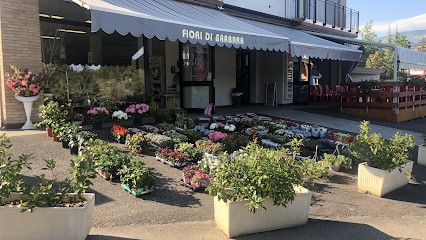 Fiori Di Barbara, Fiorista a Villa Minozzo