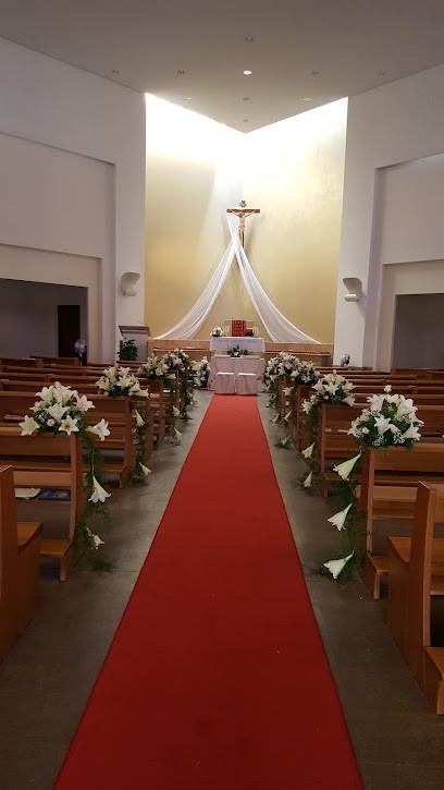 Il Fiore Del Nilo, Fiorista a Roma