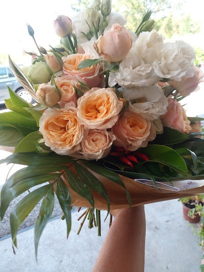 Orchidea nera piante e fiori, Fiorista a Pizzoli