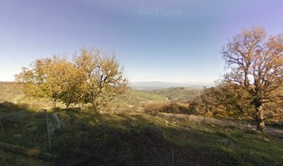 Soc. Coop. La Cava Fiorita, Fiorista a Buccheri