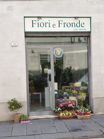 Fiori E Fronde, Fiorista a Lucca
