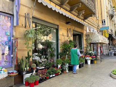 Le Bouquet Di Sanremo, Fiorista a Sanremo