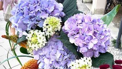 Lacerba - Bottega Floreale, Fiorista a Cervia