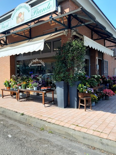Fiori Foglie E Follie Parma Di Claudia E Cristina, Fiorista a Parma