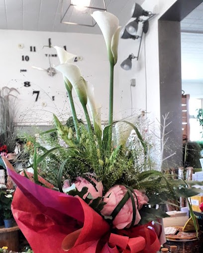 Verdeacqua Fioreria, Fiorista a Marano sul Panaro