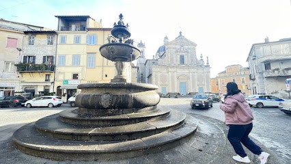 Fioridea Di Verzari Anna, Fiorista a Ronciglione