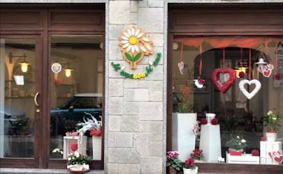 Il Fiore Srl, Fiorista a Feletto