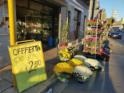 Fioraio Latiano Vitalflor, Fiorista a Latiano